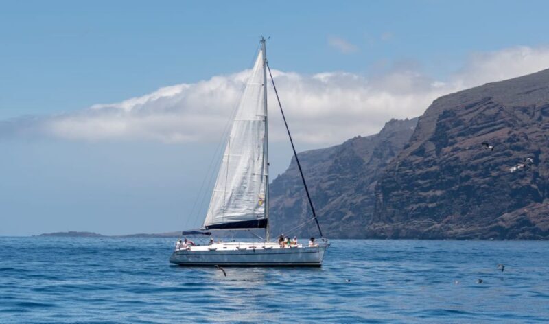 Los Gigantes: Sailing Excursion with Swimming, Drink & Tapas - In-Depth Look at the Los Gigantes Sailing Experience