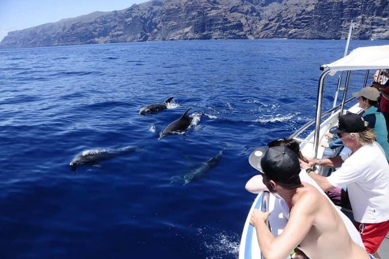 Los Gigantes: Whale or dolphin watching and swimming tour in Masca - Key Points