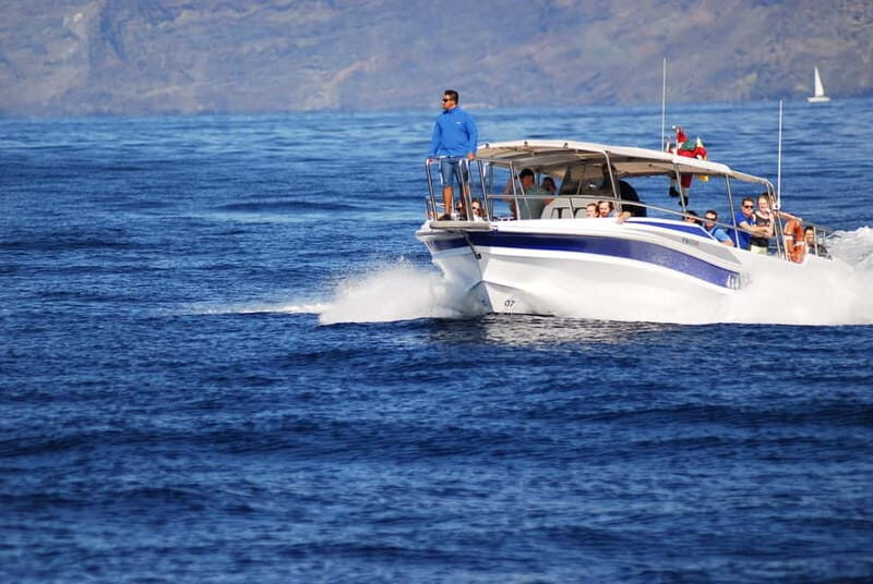 Los Gigantes: Whale or dolphin watching and swimming tour in Masca - The Experience in Detail