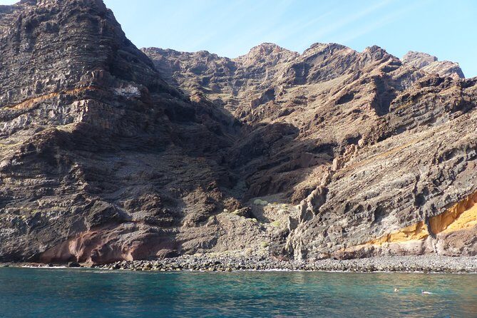 Los Gigantes Whale Watching Charter by Sail Boat - Discovering the Itinerary: What to Expect