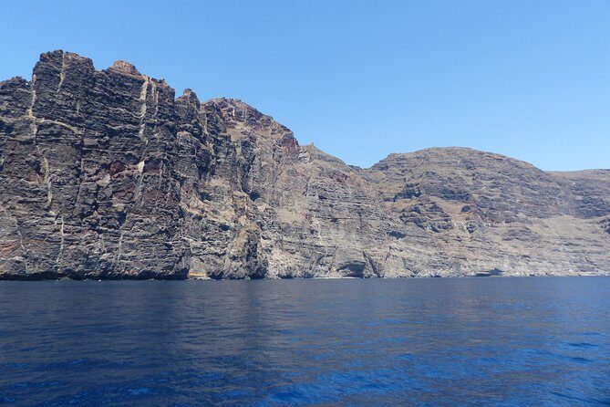 Los Gigantes Whale Watching Charter by Sail Boat - Final Thoughts