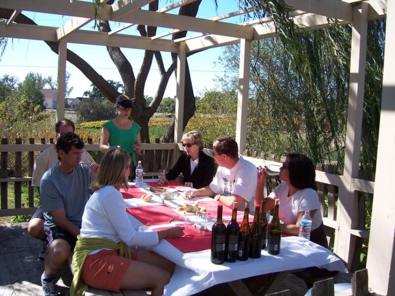 Los Olivos: E-Bike Tour + Vineyard Lunch w/Wine Tasting - The Experience: What You Can Expect