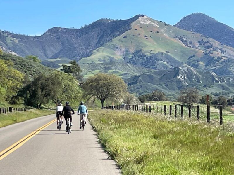 Los Olivos: E-Bike Tour + Vineyard Lunch w/Wine Tasting - Analyzing the Value