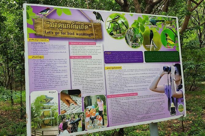 Lost in Bangkok : Green Lung Jungle Bicycle Ride with Lunch - Exploring the Itinerary in Detail