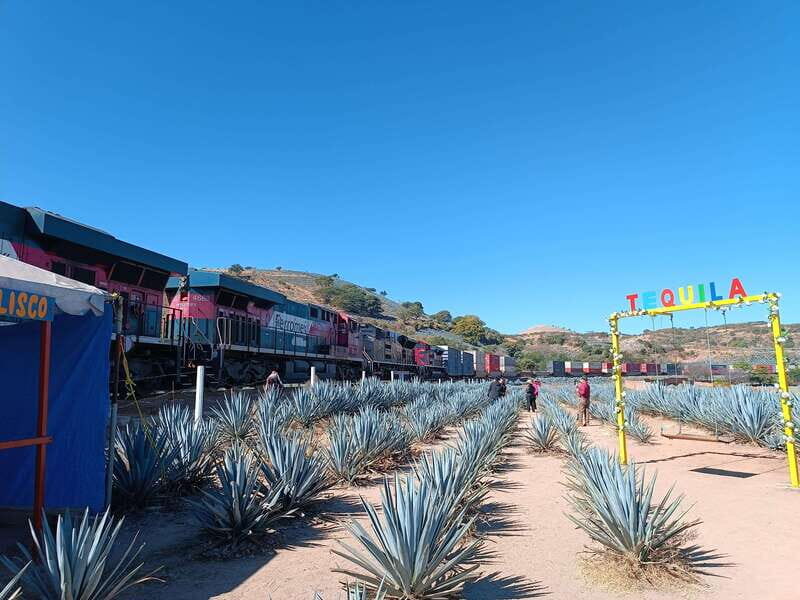 Lots of party: Have fun at "La Aguirreña" factory - FAQ