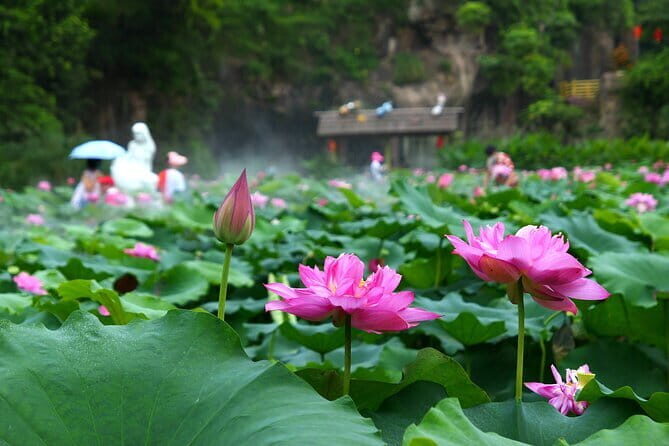 Lotus Hill Ancient Quarry Big Buddha Art AncientTown Private Tour - Practical Details and What to Expect