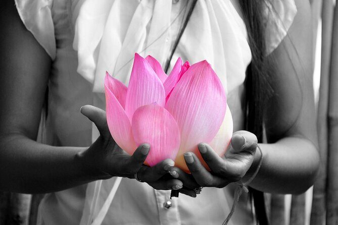Lotus Silk Farm: Discover Learn and Experiment the Lotus Flower - Who Is This Tour Best For?