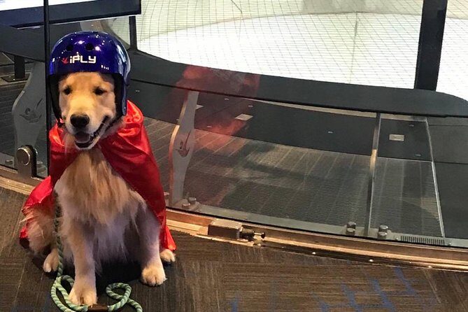 Loudoun Indoor Skydiving Experience with 2 Flights & Personalized Certificate - Final Thoughts