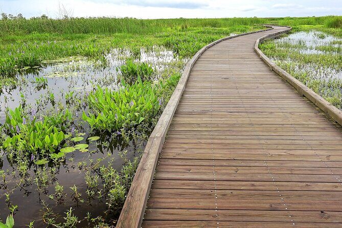 Louisiana Creole Nature Trail Self-Guided Audio Driving Tour - An In-Depth Look at the Itinerary
