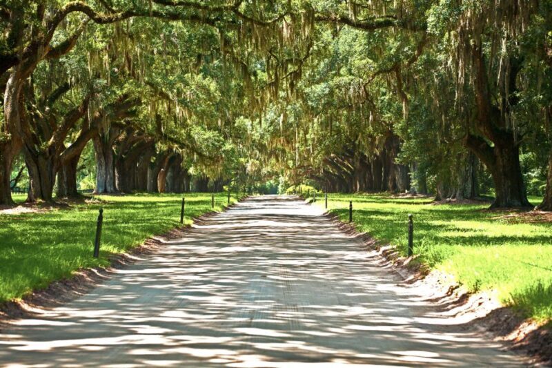 Louisiana: Laura, Oak Alley, or Whitney Plantation Tours - A Closer Look at the Tour Experience