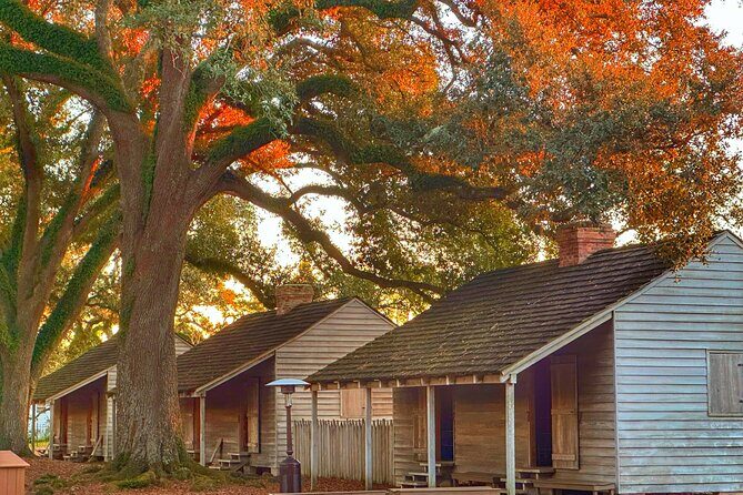 Louisiana's Historic Plantations Private Day Tour from Biloxi - What Travelers Are Saying