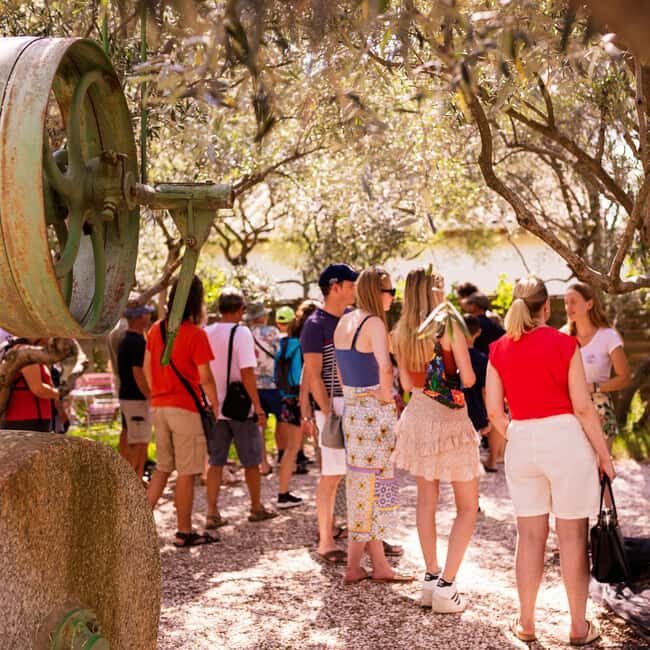 L'Oulibo oil mill: Guided tour - A Detailed Look at the Tour Experience