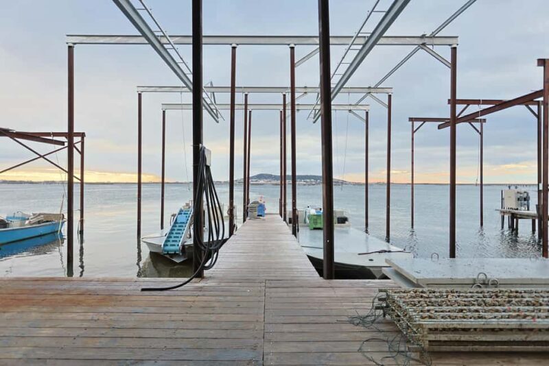 Loupian: Tour guide of our oyster farm and tasting - Value for Money and Overall Experience