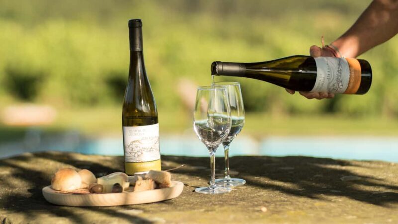 Lousada: Authentic Green Wines from Quinta de Lourosa - Key Points