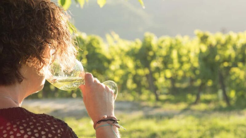 Lousada: Authentic Green Wines from Quinta de Lourosa - What to Expect on the Tour