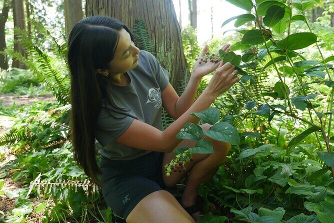 Love the Land Indigenous Walking Tour Capilano River Hatchery - An In-Depth Look at the Tour