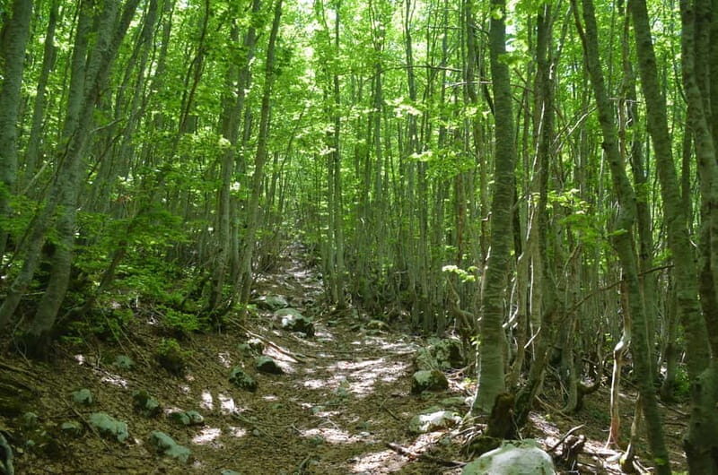 Loven Hiking Private Tour - What Makes the Loven Hiking Tour Special