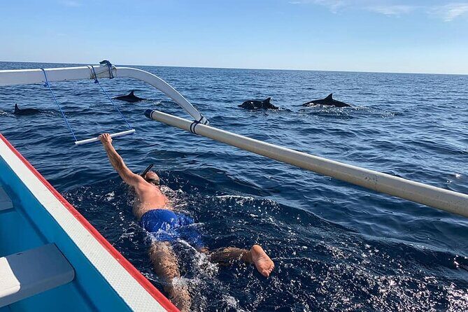 Lovina Dolphin Watching, Swimming, and Snorkeling Experience - The Journey Begins: Scenic Pickup and Transfer