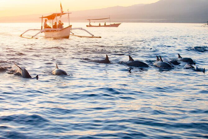 Lovina Sunrise Dolphin & Waterfall Tour - The Sum Up