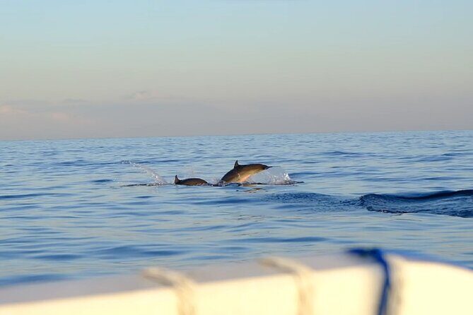 Lovina Sunrise Dolphin with option snorkeling and waterfall - Who This Tour Is Best For