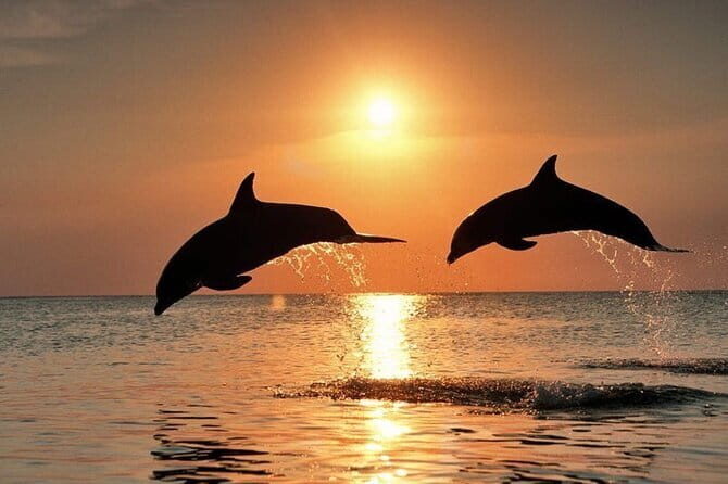 Lovina Watching Dolphin with Sunrise-Snorkeling-Waterfall Tour - Key Points
