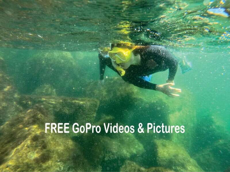 Lower Grand Lagoon: Panama City Beach Guided Snorkeling Tour - Who Will Love This Experience?