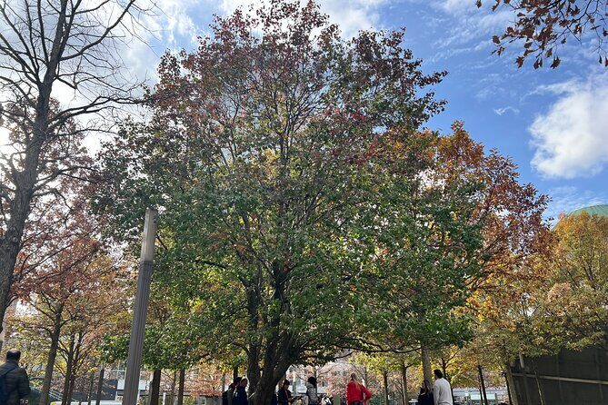 Lower Manhattan: From Financial Power to Enduring Hope - The Value of the Experience