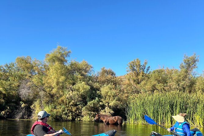 Lower Salt River Guided Kayak Tours - The Experience Provider: Cliff Creek Outfitters