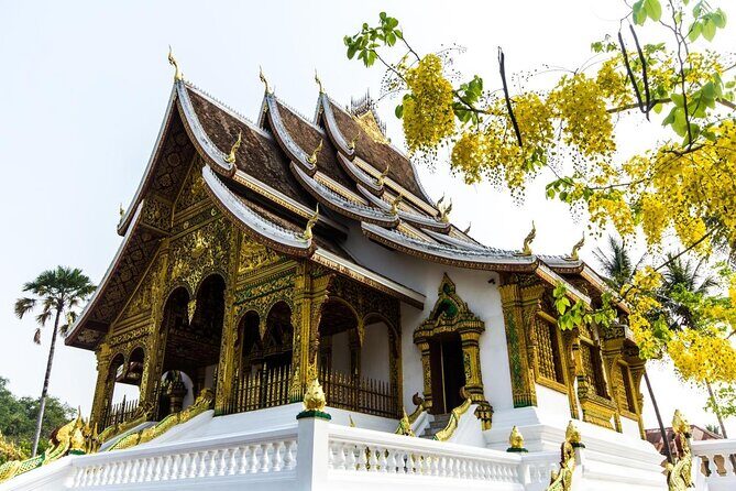 Luang Prabang City Sightseeing Tour by Vintage EV - A Closer Look at the Luang Prabang Vintage EV Tour