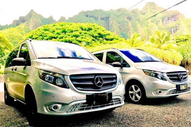 Luau Oahu Private Round-Trip Transportation from Honolulu - The Experience: What You Can Expect
