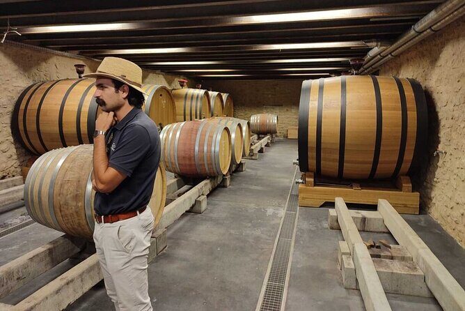 Luberon and Chateauneuf du Pape Wine Tour - Authentic Experiences That Shine