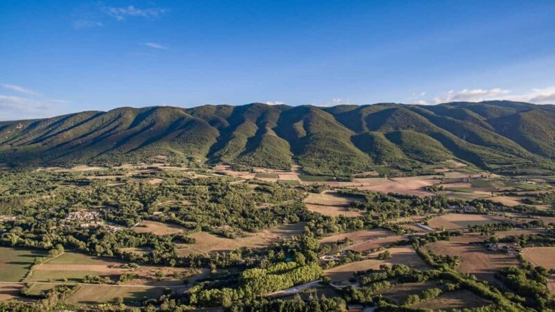 Luberon: Full-Day Wine Tour from Marseille - An Honest Breakdown of the Tour