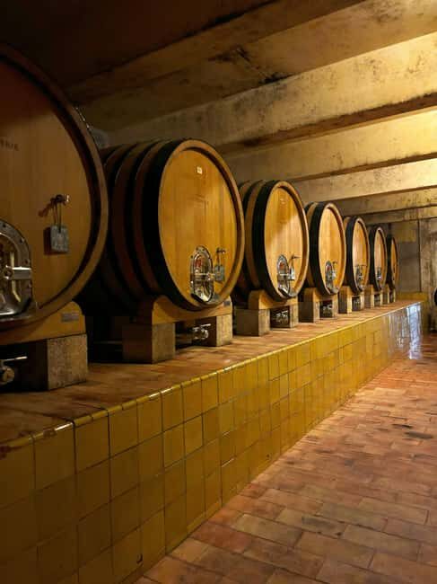 Luberon: Full-Day Wine Tour from Marseille - The Practicalities: What You Need to Know