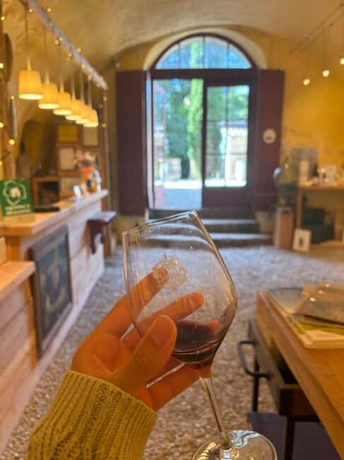 Luberon: Full-Day Wine Tour from Marseille - Why This Tour Might Be Perfect for You