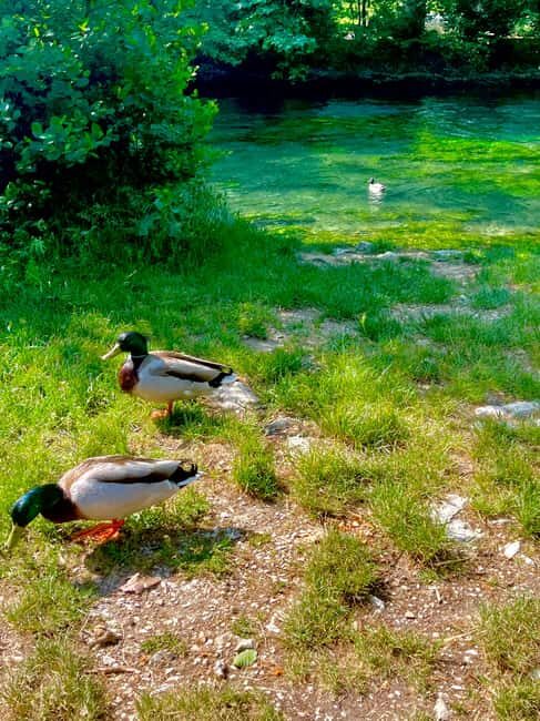 Luberon, Roussillon & Gordes Half-Day Tour from Avignon - Key Points