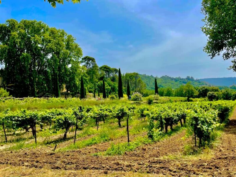 Luberon, Roussillon & Gordes Half-Day Tour from Avignon - Price and Value