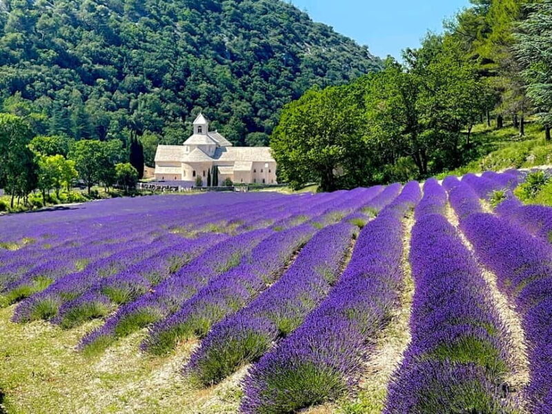 Luberon, Roussillon & Gordes Half-Day Tour from Avignon - Frequently Asked Questions