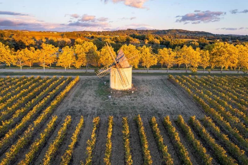 Luberon: Vineyard Tour and Wine Tasting - What Travelers Say