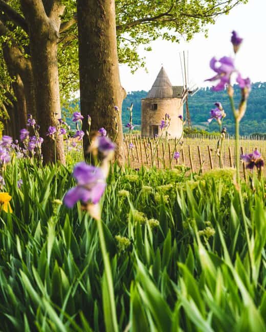 Luberon: Vineyard Tour and Wine Tasting - FAQ