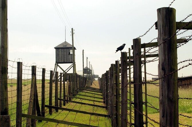 Lublin and Majdanek Small Group Tour from Warsaw with Lunch - Who Should Consider This Tour?