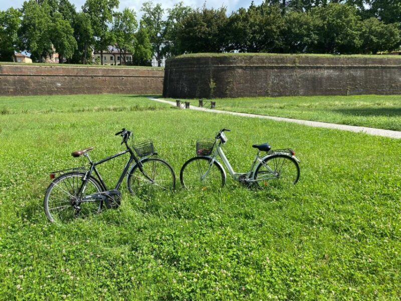 Lucca: City Bike One-Day Rental - Key Points