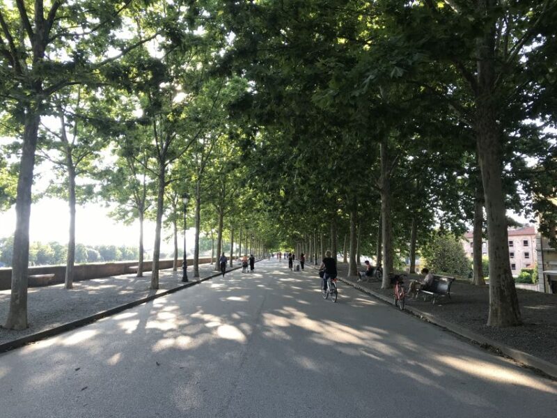 Lucca: City Bike One-Day Rental - Why a Bike Tour of Lucca Works So Well