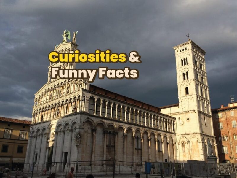 Lucca: Digital guide made with a Local for your tour - In The Sum Up