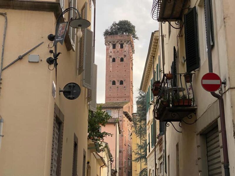 Lucca: guided visit of S. Martino, S. Frediano, city center - Final Words