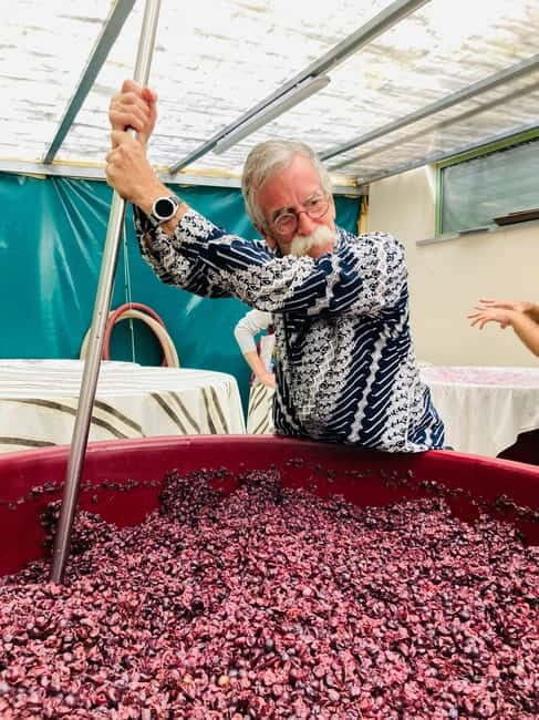 Lucca - Natural wine tasting at Tenuta Mareli - Lucca - Natural wine tasting at Tenuta Mareli