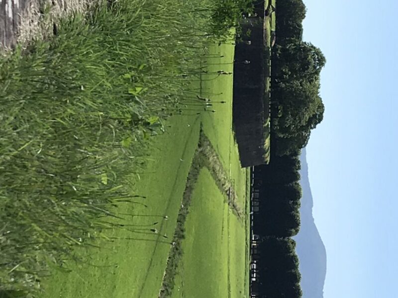 Lucca: Renaissance City Walls Walking Tour - Discovering the Walls of Lucca: A Detailed Look