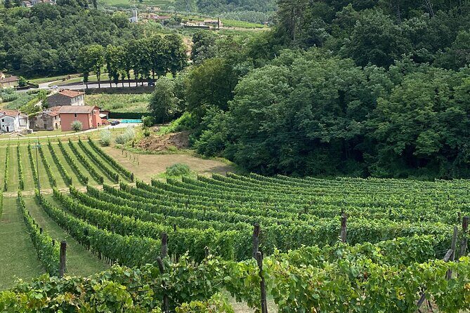 Lucca Tour and Pisa Tower + WineTasting by van from La SpeziaPort - Final Thoughts