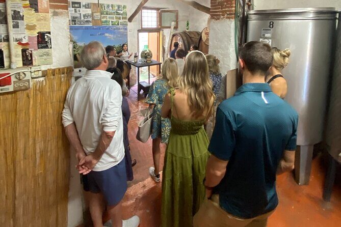 Lucca tour and Pisa Tower + WineTasting by van from Livorno Port - FAQs