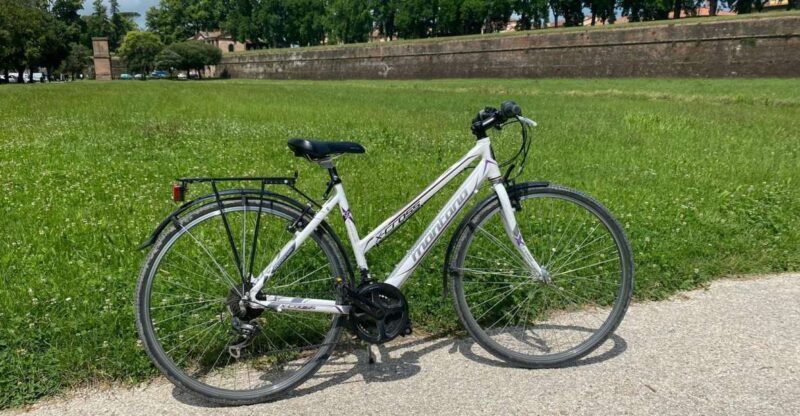 Lucca: Trekking Bike Rental - Key Points