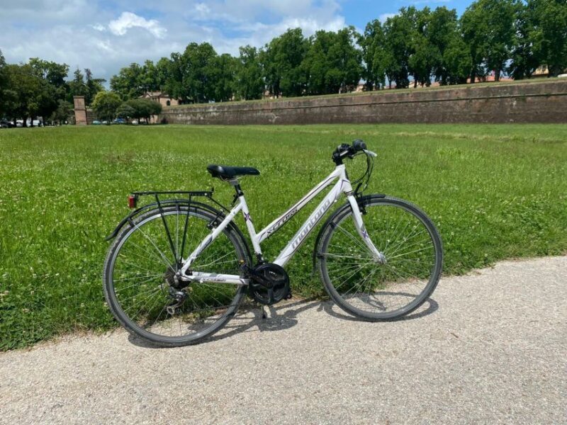 Lucca: Trekking Bike Rental - Discovering Lucca on Two Wheels: What to Expect
